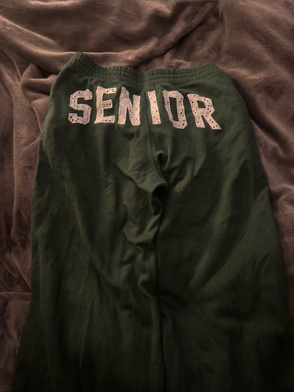 Hollister Dark Green Graphic Baggy Sweatpants